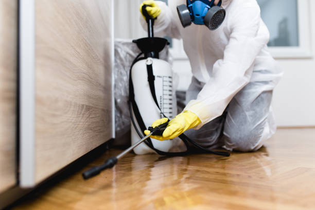 Best Pest Control Treatment  in Mcfarland, WI