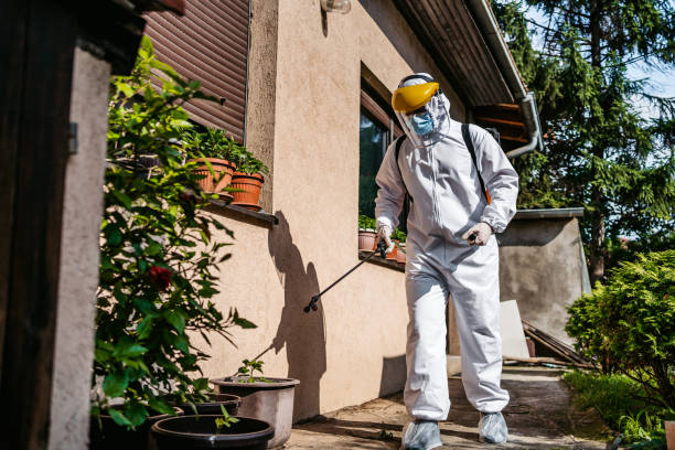 Best Flea Control Services  in Mcfarland, WI