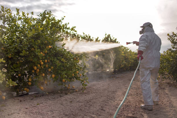 Trusted Mcfarland, WI Pest Control Experts