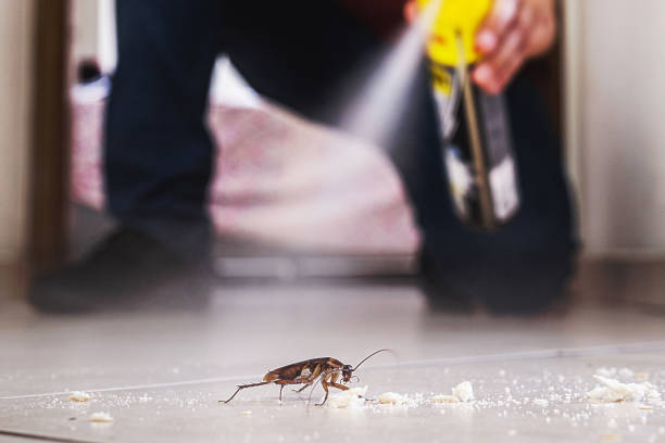 Best Best Pest Control Companies  in Mcfarland, WI
