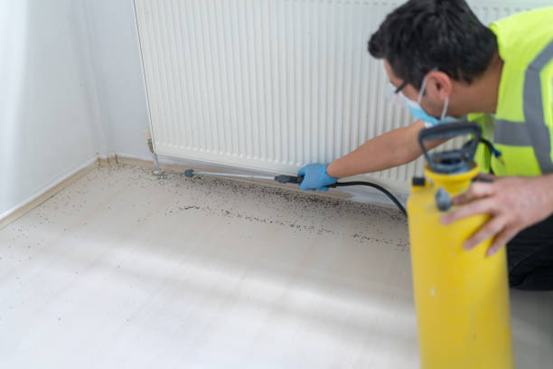 Best Exterminator Services  in Mcfarland, WI