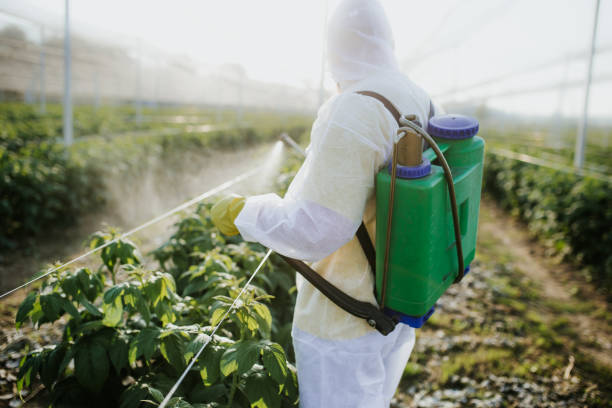 Best Flea Control Services  in Mcfarland, WI